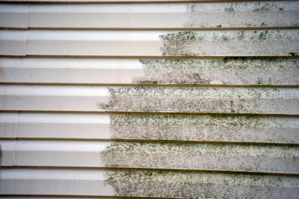 Best Construction Debris Removal  in Oriska, NY